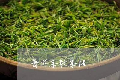 普洱茶散茶段/2023042804095