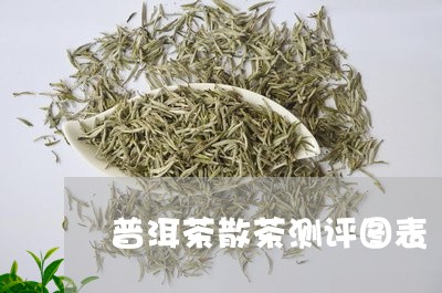 普洱茶散茶测评图表/2023083038493