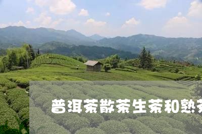 普洱茶散茶生茶和熟茶/2023100770693