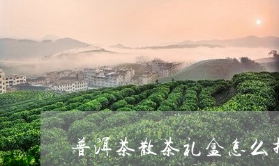 普洱茶散茶礼盒怎么折/2023080360481