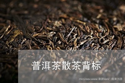 普洱茶散茶背标/2023110671839