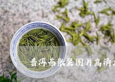 普洱茶散装图片高清大全/2023120750272