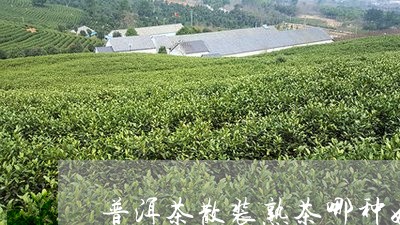 普洱茶散装熟茶哪种好/2023100859385