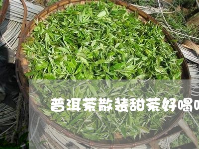 普洱茶散装甜茶好喝吗/2023112772825