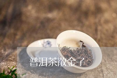 普洱茶散金子/2023042700308