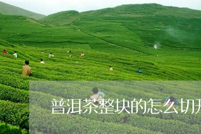 普洱茶整块的怎么切开/2023100571748