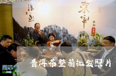 普洱茶整箱批发照片/2023112739602