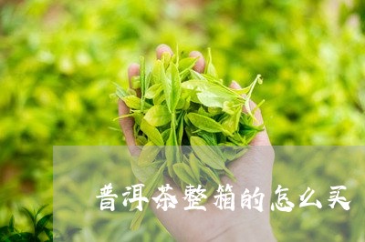 普洱茶整箱的怎么买/2023120590605