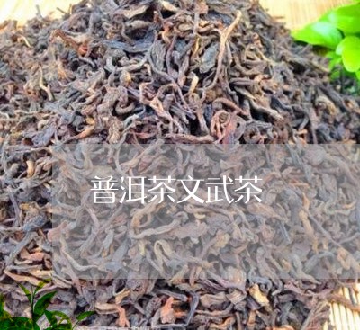 普洱茶文武茶/2023042897215