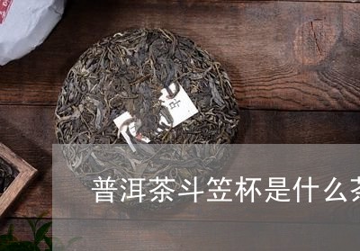 普洱茶斗笠杯是什么茶/2023083001804