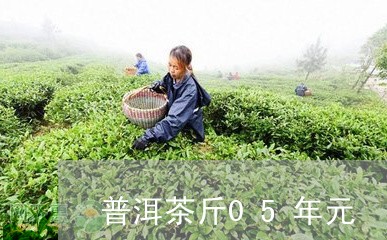 普洱茶斤05年元/2023100736160