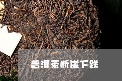 普洱茶断崖下跌/2023112679473