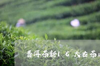 普洱茶新16大古茶山/2023120672815