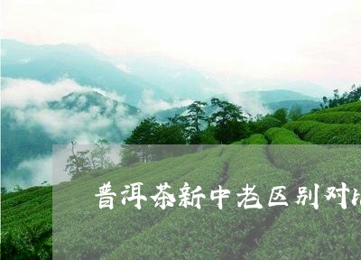 普洱茶新中老区别对比/2023061792737