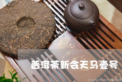 普洱茶新会天马壹号/2023080128369