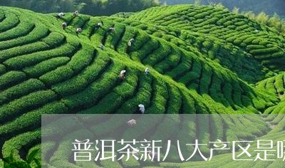 普洱茶新八大产区是哪些/2023112849594