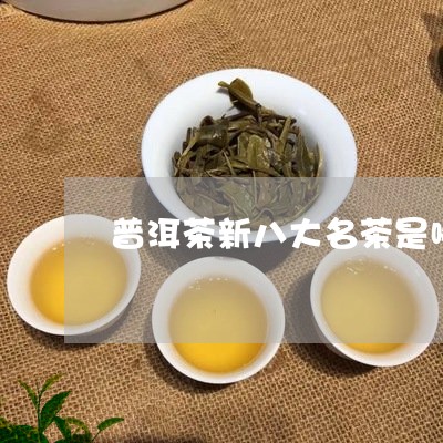 普洱茶新八大名茶是哪几种/2023110426040