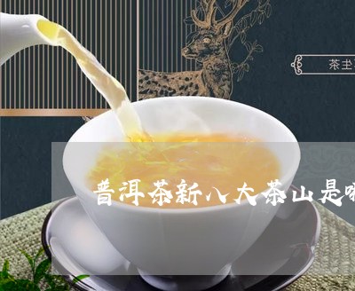 普洱茶新八大茶山是哪些/2023121751616