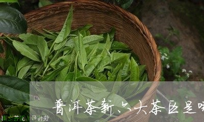 普洱茶新六大茶区是哪些/2023102471037