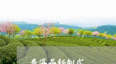 普洱茶新制式/2023042726598