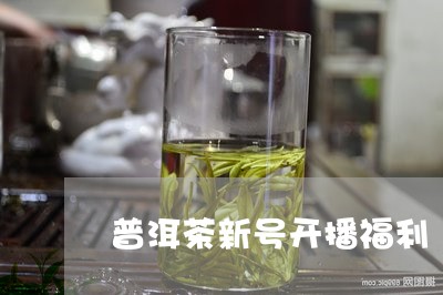 普洱茶新号开播福利/2023101649403