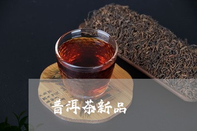 普洱茶新品/2023090684035