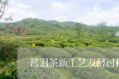 普洱茶新工艺发酵过程图/2023110438592