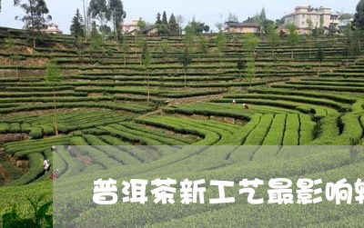 普洱茶新工艺最影响转化的是哪个/2023082815250