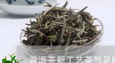 普洱茶新工艺茶气足吗/2023120670724