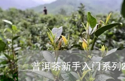 普洱茶新手入门系列2/2023062345031