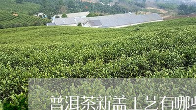 普洱茶新盖工艺有哪些/2023120677260