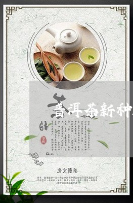 普洱茶新种还是老种好/2023092894959