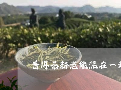 普洱茶新老能混在一起喝吗/2023110266159