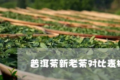 普洱茶新老茶对比表格图/2023110668461