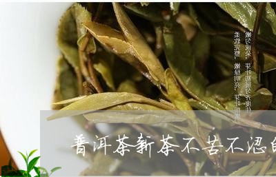 普洱茶新茶不苦不涩的品牌/2023110416151