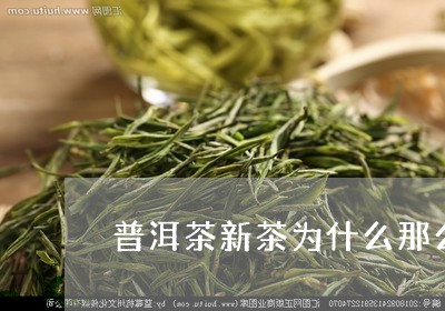 普洱茶新茶为什么那么便宜/2023121739725