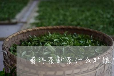 普洱茶新茶什么时候出现的/2023110472604