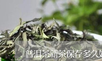 普洱茶新茶保存多久好卖/2023121718413