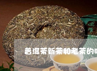 普洱茶新茶和老茶的时间区别/2023052867371