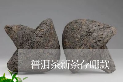 普洱茶新茶存哪款/2023120480483