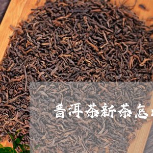 普洱茶新茶怎么买的到老茶/2023110620494