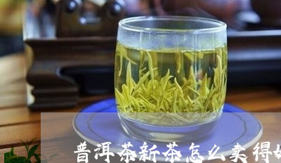 普洱茶新茶怎么卖得好一点/2023112511815