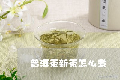 普洱茶新茶怎么煮/2023110681604