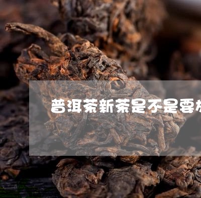 普洱茶新茶是不是要放90天/2023102595149