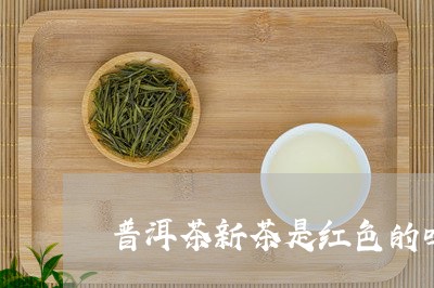 普洱茶新茶是红色的吗好吗/2023121729464