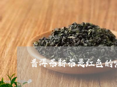 普洱茶新茶是红色的嘛还是黑色/2023121736258