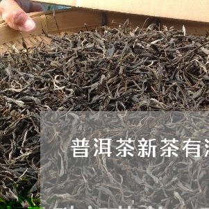 普洱茶新茶有没有茶油/2023100501806