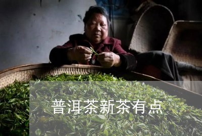 普洱茶新茶有点/2023112509491