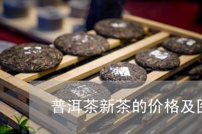 普洱茶新茶的价格及图片/2023121733836