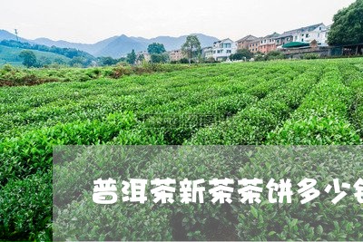 普洱茶新茶茶饼多少钱/2023072454269